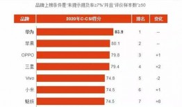 国产一级AA大片毛片