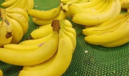 国产对白大香蕉