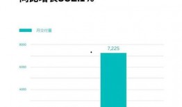 国产分类在线,探索我国特色产品与产业的蓬勃发展