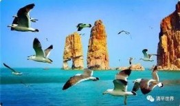 爱情岛国产,探寻异域风情的爱情秘境